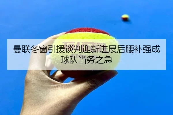 曼联冬窗引援谈判迎新进展后腰补强成球队当务之急 | kaiyun